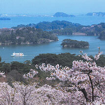 Saigyo Modoshi no Matsu Park