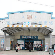 Shiogama Seafood Wholesale Market