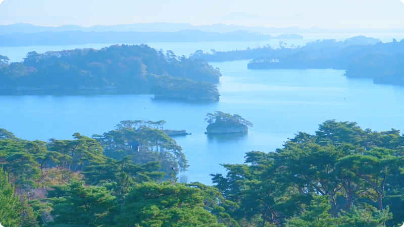 ライブイメージ画像