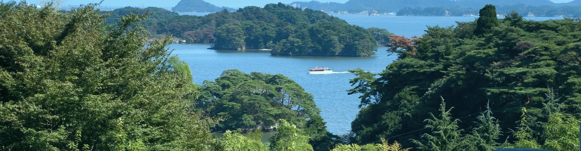 新着情報のメイン画像