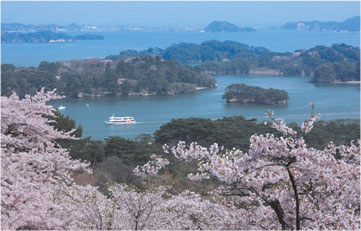 西行折回之松公園